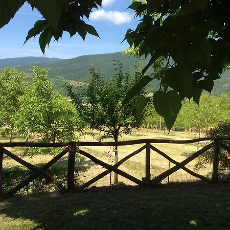 Rustic Comfort With Modern Touch Monterchi